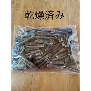 乾燥済み　かじり木100本　りんご&キウイ　太〜中太程度(小動物)