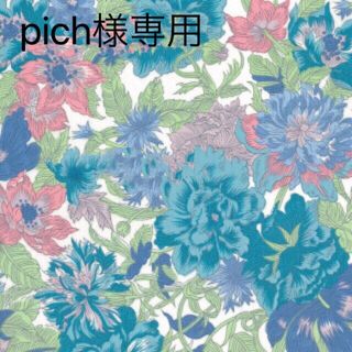 pich様専用(ワンピース)