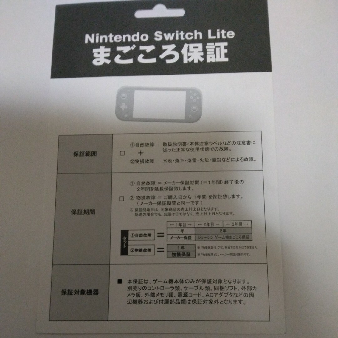 Nintendo Switch Liteグレー　本体アクセサリーセット