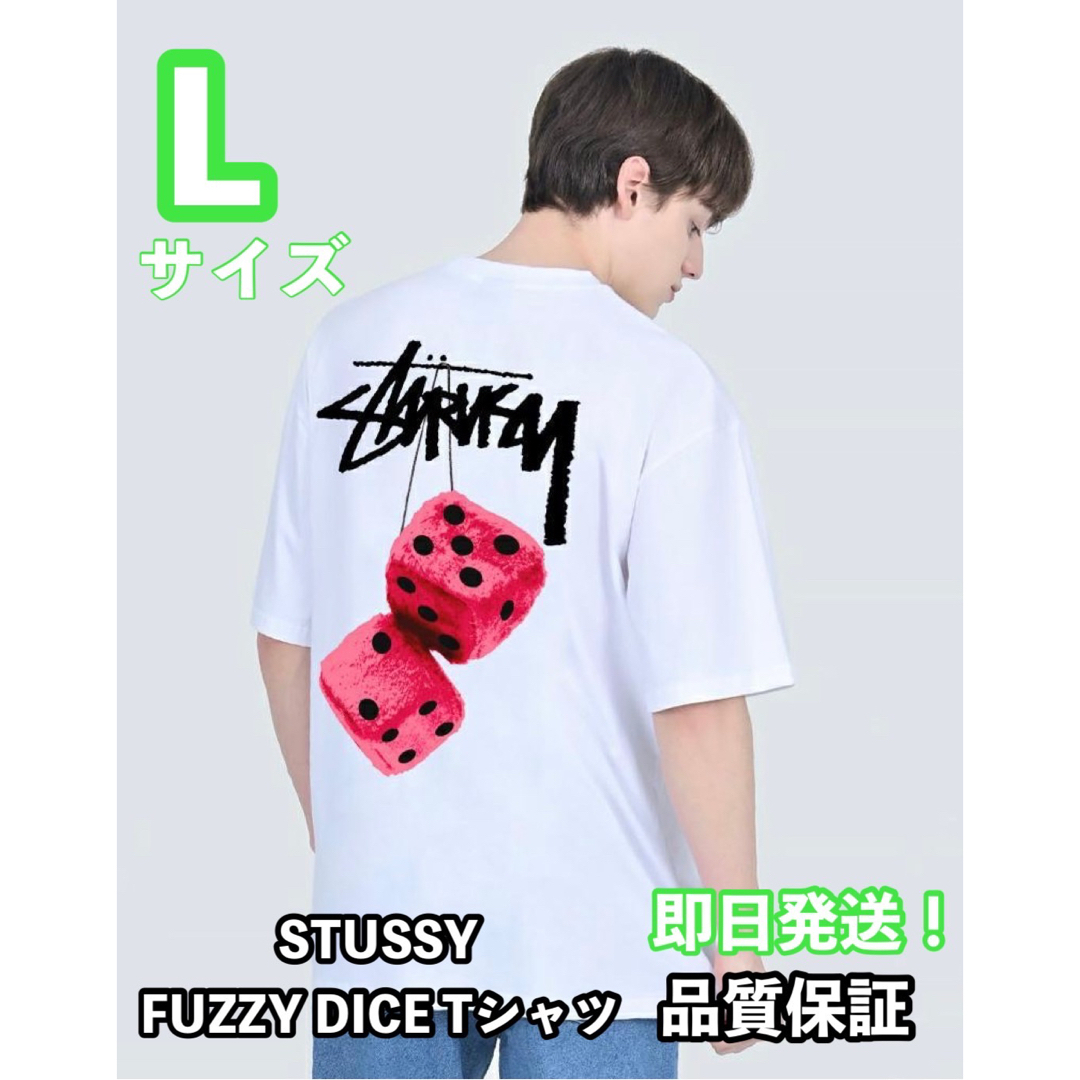 STUSSY ステューシー FUZZY DICE TEE サイコロ　新品未使用