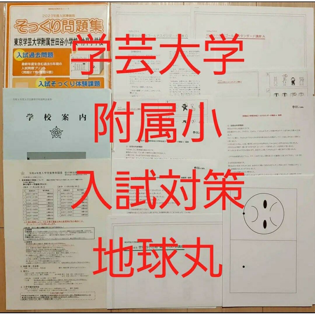 学芸大学附属世田谷小学合格セット　理英会　伸芽会　保護者アンケット付き3年分