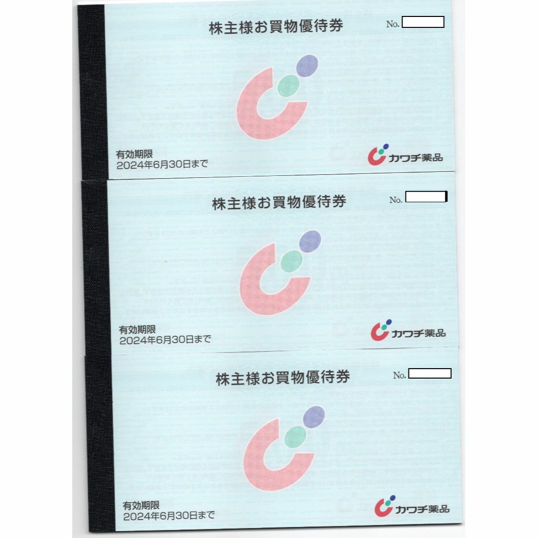カワチ薬品 株主優待券 15000円分 ラクマパック発送 | corumsmmmo.org.tr