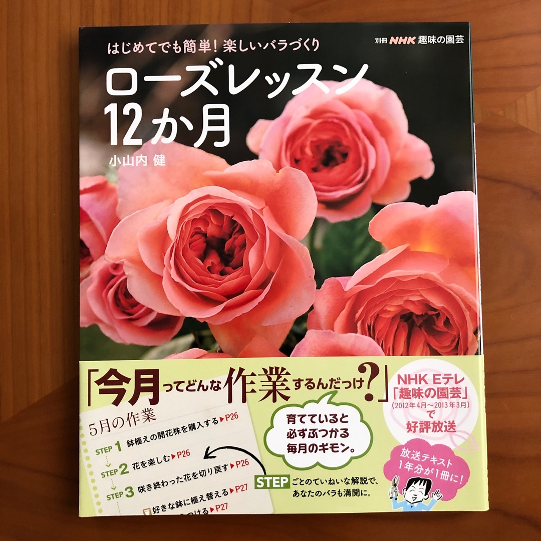 ロ－ズレッスン１２か月 はじめてでも簡単！楽しいバラづくり エンタメ/ホビーの本(趣味/スポーツ/実用)の商品写真