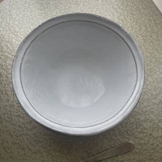 アスティエドヴィラット(ASTIER de VILLATTE)のアスティエドヴィラッド　2枚セット　サラダボウル　スーププレート　皿　訳あり(食器)