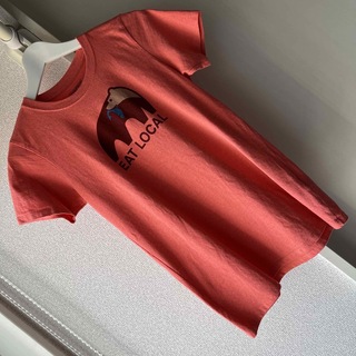 パタゴニア(patagonia)のパタゴニア　レディース　tシャツ(Tシャツ(半袖/袖なし))