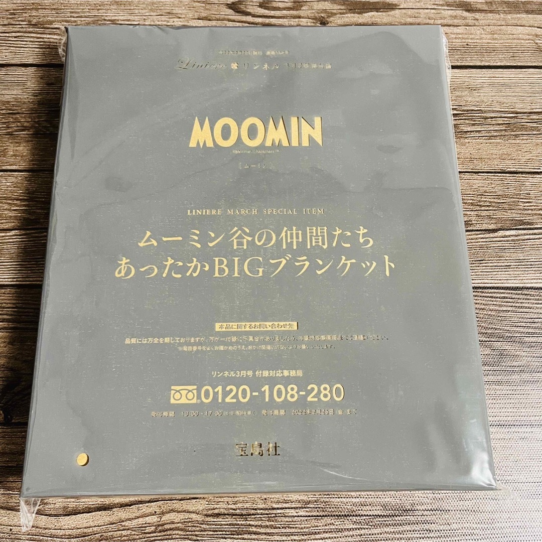 展示品ムーミン リトルミイいたずら考え中 フィギュア 廃盤 限定 生産