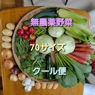 無農薬野菜　70サイズ　クール便(野菜)