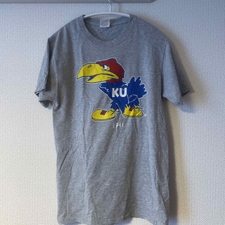 カンザス大学　Tシャツ　グレー(Tシャツ/カットソー(半袖/袖なし))