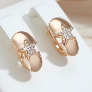 セール❣️【14KGP】星 スター 小粒ジルコン ピアス(ピアス)