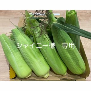 ゴールドラッシュ　トウモロコシ(野菜)