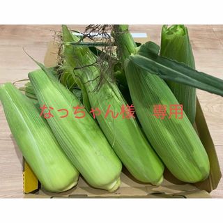 ゴールドラッシュ　トウモロコシ　なっちゃん様　専用(野菜)