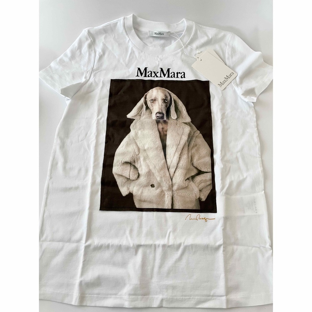 MaxMaraマックスマーラ新作23-24AW☆大人気DOG Tシャツ