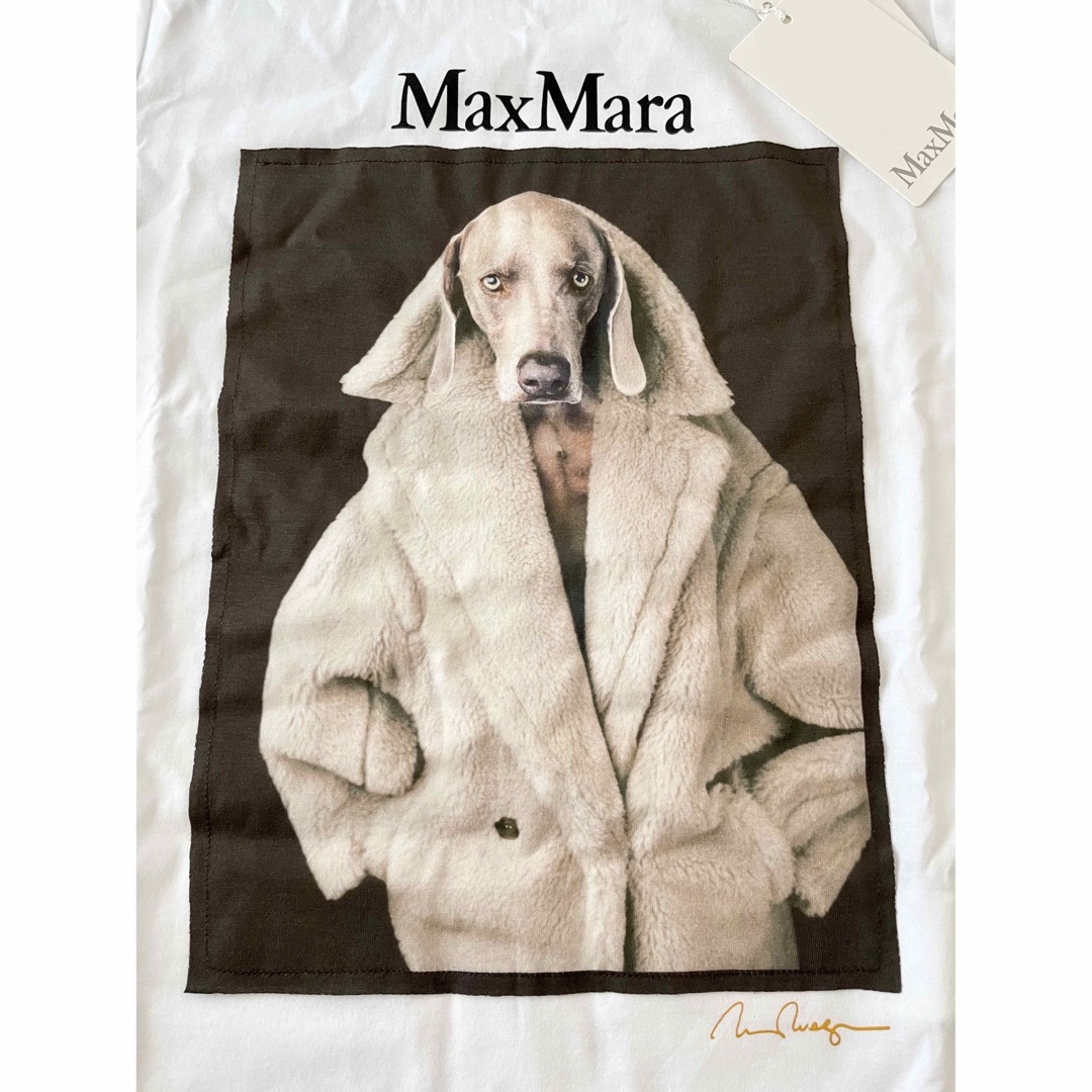 Max Mara - MaxMaraマックスマーラ新作23-24AW☆大人気DOG Tシャツの ...