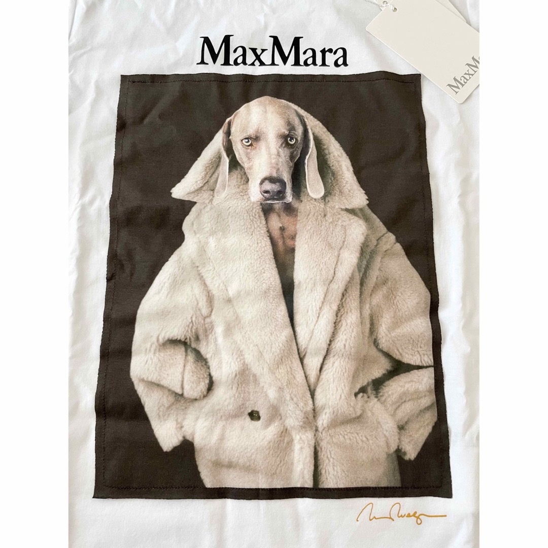 MaxMaraマックスマーラ新作23-24AW☆大人気DOG Tシャツ