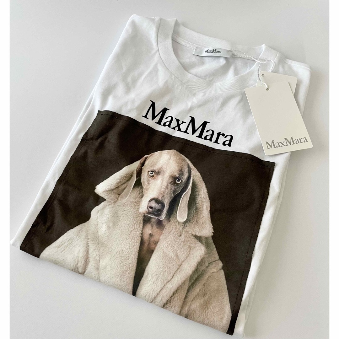 MaxMaraマックスマーラ新作23-24AW☆大人気DOG Tシャツ