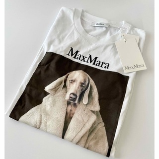 マックスマーラ(Max Mara)のMaxMaraマックスマーラ新作23-24AW☆大人気DOG Tシャツ(Tシャツ(半袖/袖なし))