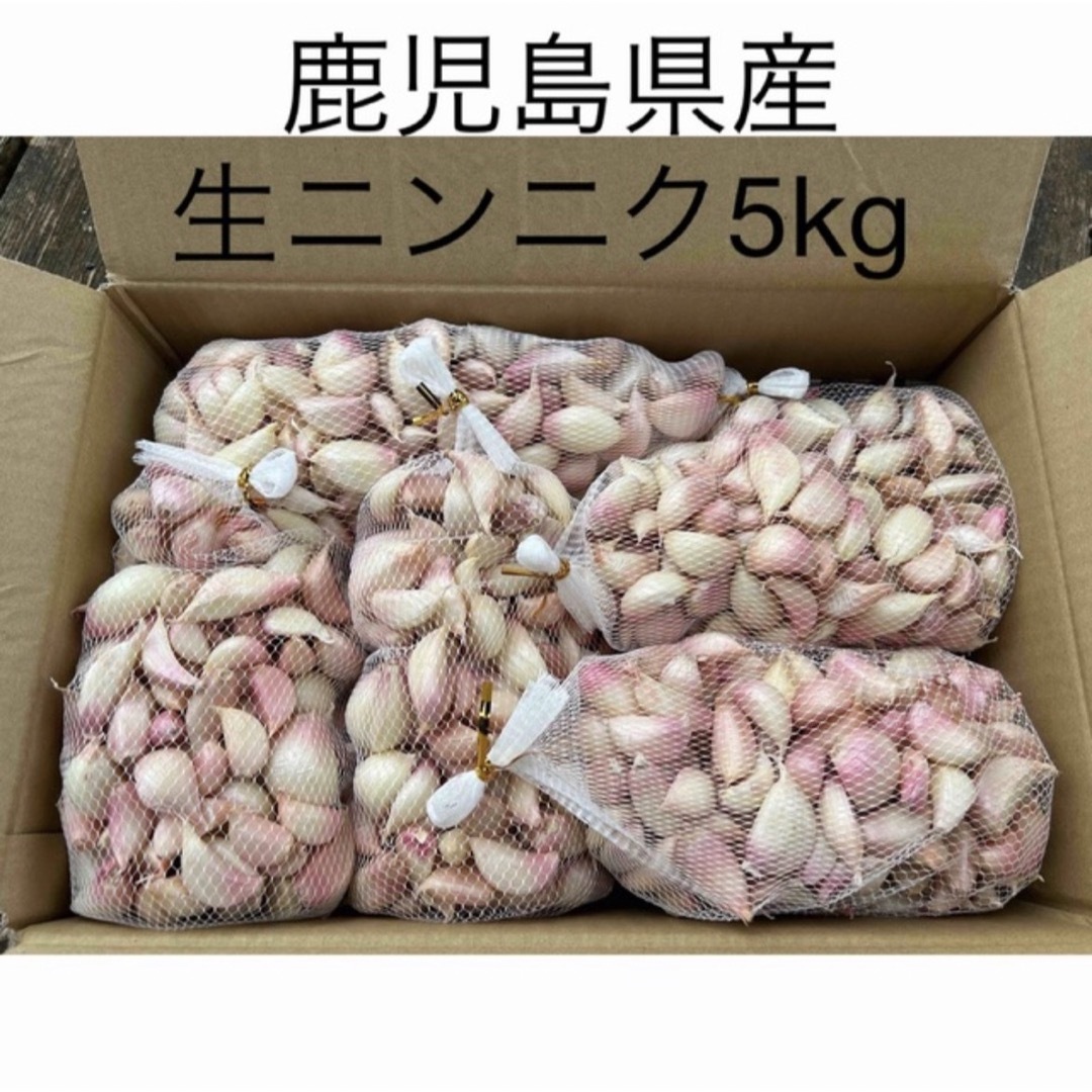 鹿児島県産　ニンニク5kg