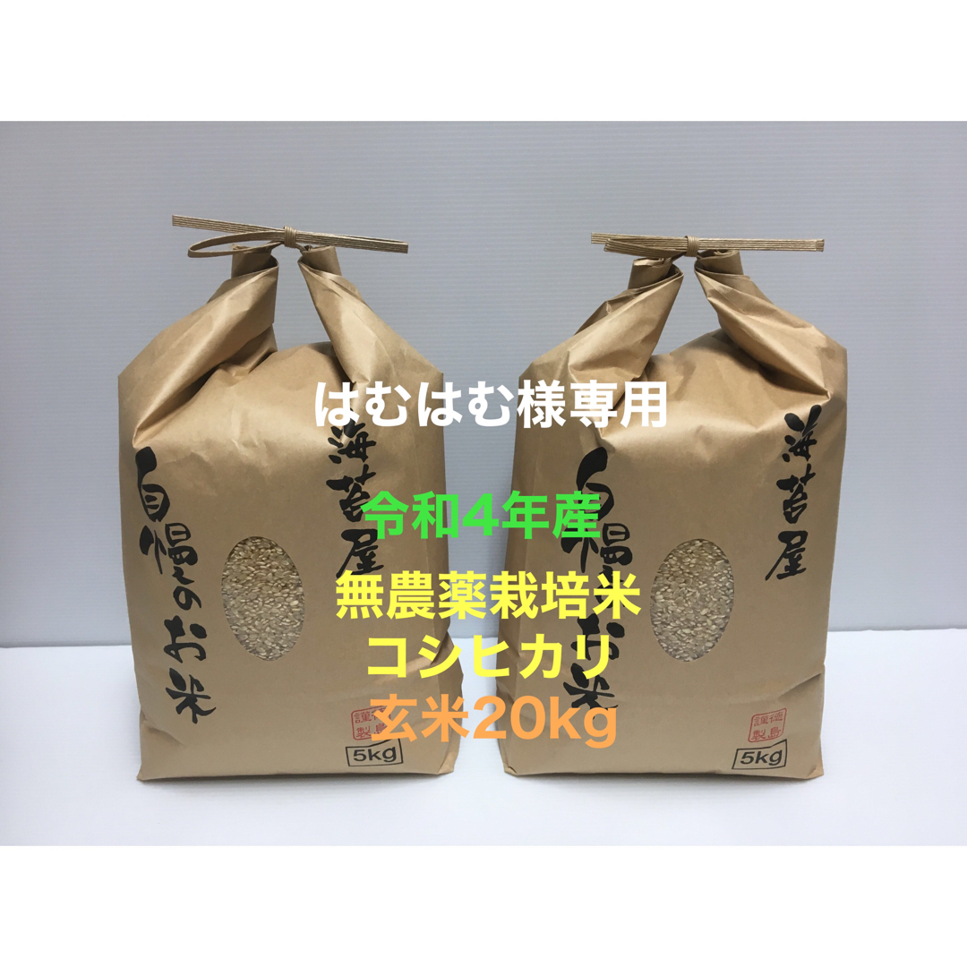 無農薬コシヒカリ玄米20kg(5kg×4)令和2年　you.様専用　徳島県産-