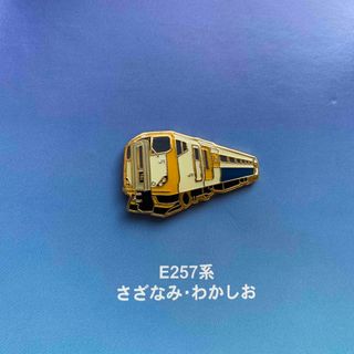 E257系 さざなみ わかしお デビュー 記念 鉄道 ピンバッジ  (鉄道)