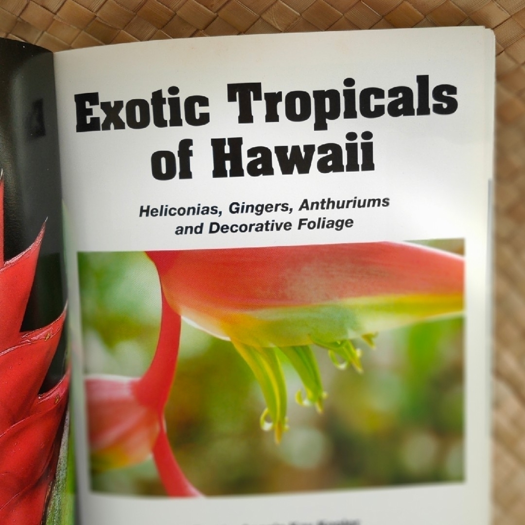 ハワイのエキゾチックな熱帯植物 エンタメ/ホビーの本(その他)の商品写真