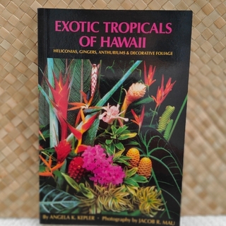 ハワイのエキゾチックな熱帯植物(その他)