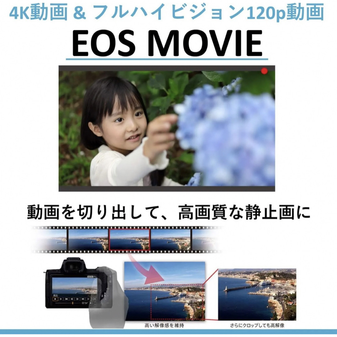 最安値】Canon EOS M6 MarkII ダブルズームキット 保証書付 返品保証付