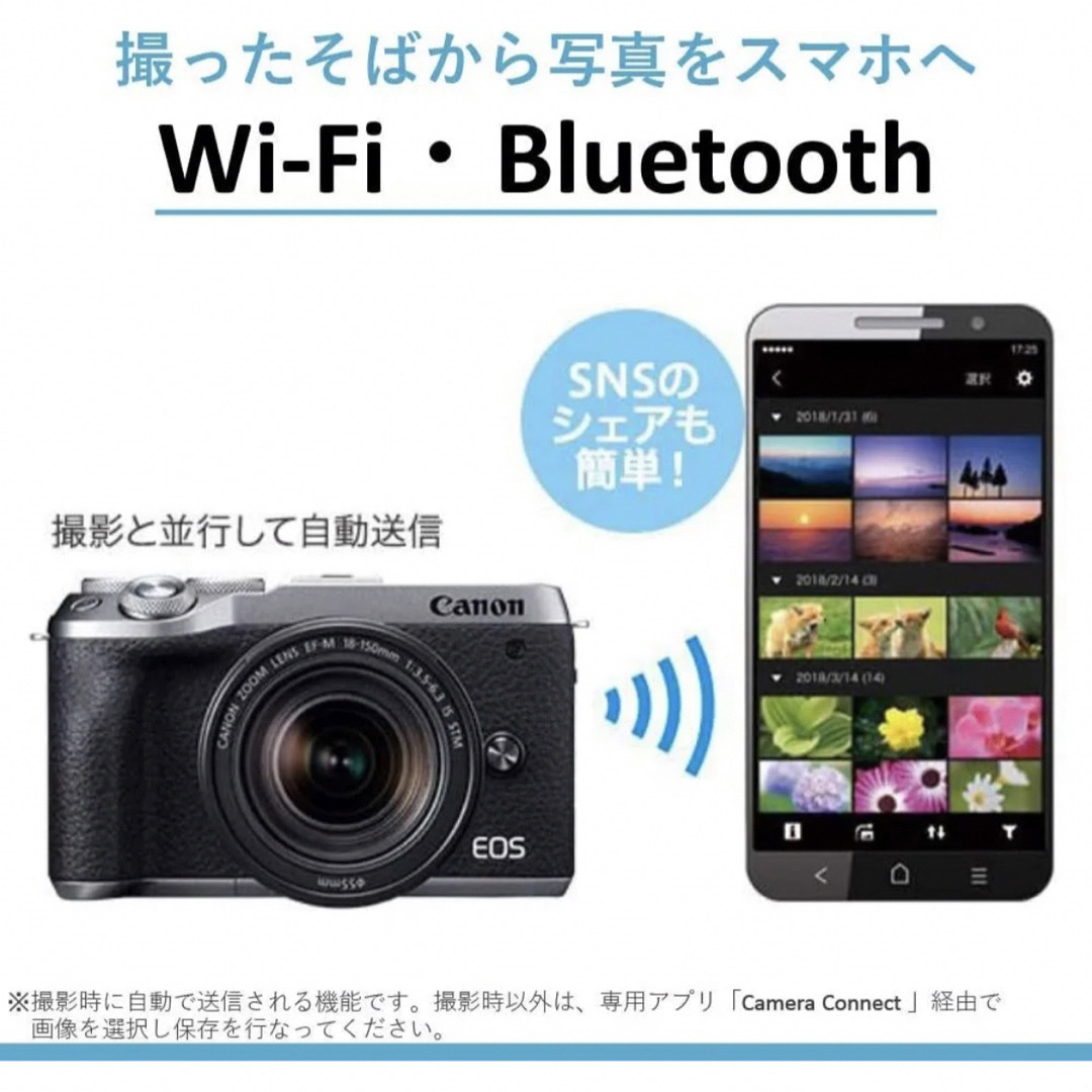 最安値】Canon EOS M6 MarkII ダブルズームキット 保証書付 返品保証付