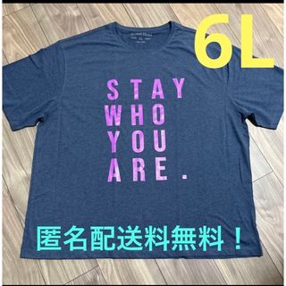 6L☆ネイビー紫ロゴプリントロゴTシャツ大きいサイズメンズNV(Tシャツ/カットソー(半袖/袖なし))