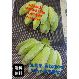 お値打ち！沖縄本島やんばる産！　アップルバナナ たっぷり！1.5㎏！(フルーツ)