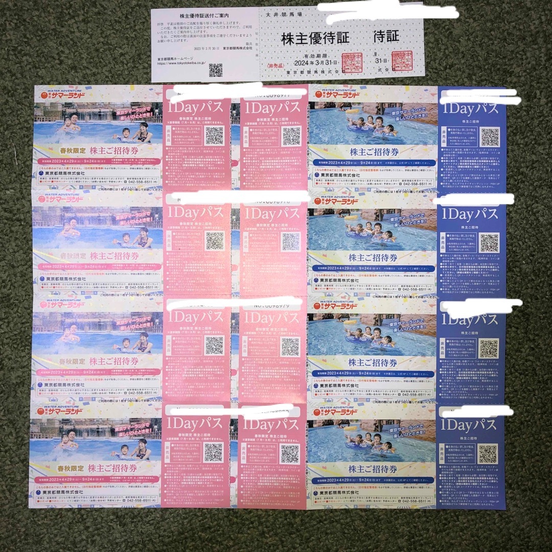東京サマーランド 株主ご招待券 + 大井競馬場 株主優待証の通販 by