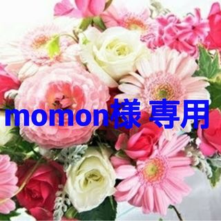 アルソア(ARSOA)のmomon様 専用ページです。(洗顔料)