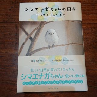 シマエナガちゃんの日々 ぼくはここにいるよ(文学/小説)