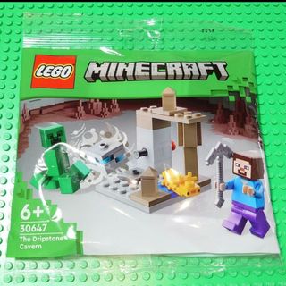 レゴ(Lego)の【新品】LEGO ポリバッグ 30647 マインクラフト 鍾乳洞(キャラクターグッズ)