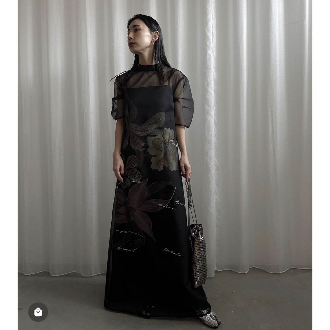 Ameri VINTAGE(アメリヴィンテージ)のKEITAMARUYAMA AMERI SHEER LAYERED DRESS レディースのワンピース(ロングワンピース/マキシワンピース)の商品写真