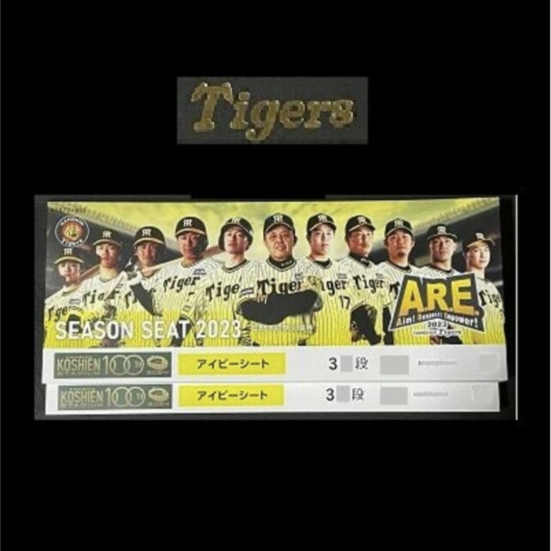 阪神vs中日7/16ライト年間席通路側