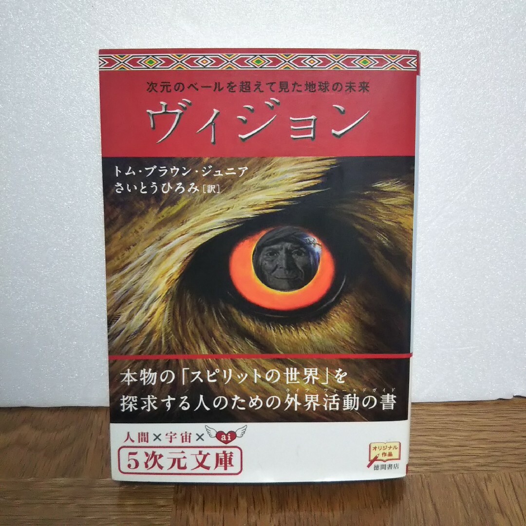 ヴィジョン 次元のベ－ルを超えて見た地球の未来