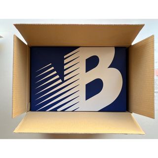 無地・新色登場! new balance Made in USA 990 v6 TD6 27.5