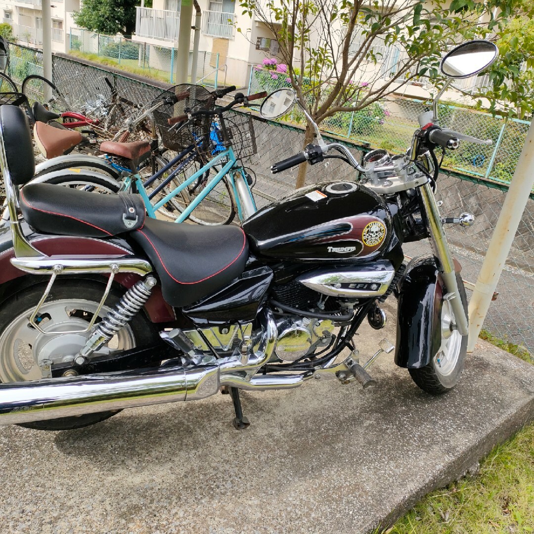 ヒョースン | HYOSUNG GV 250 アメリカンバイク