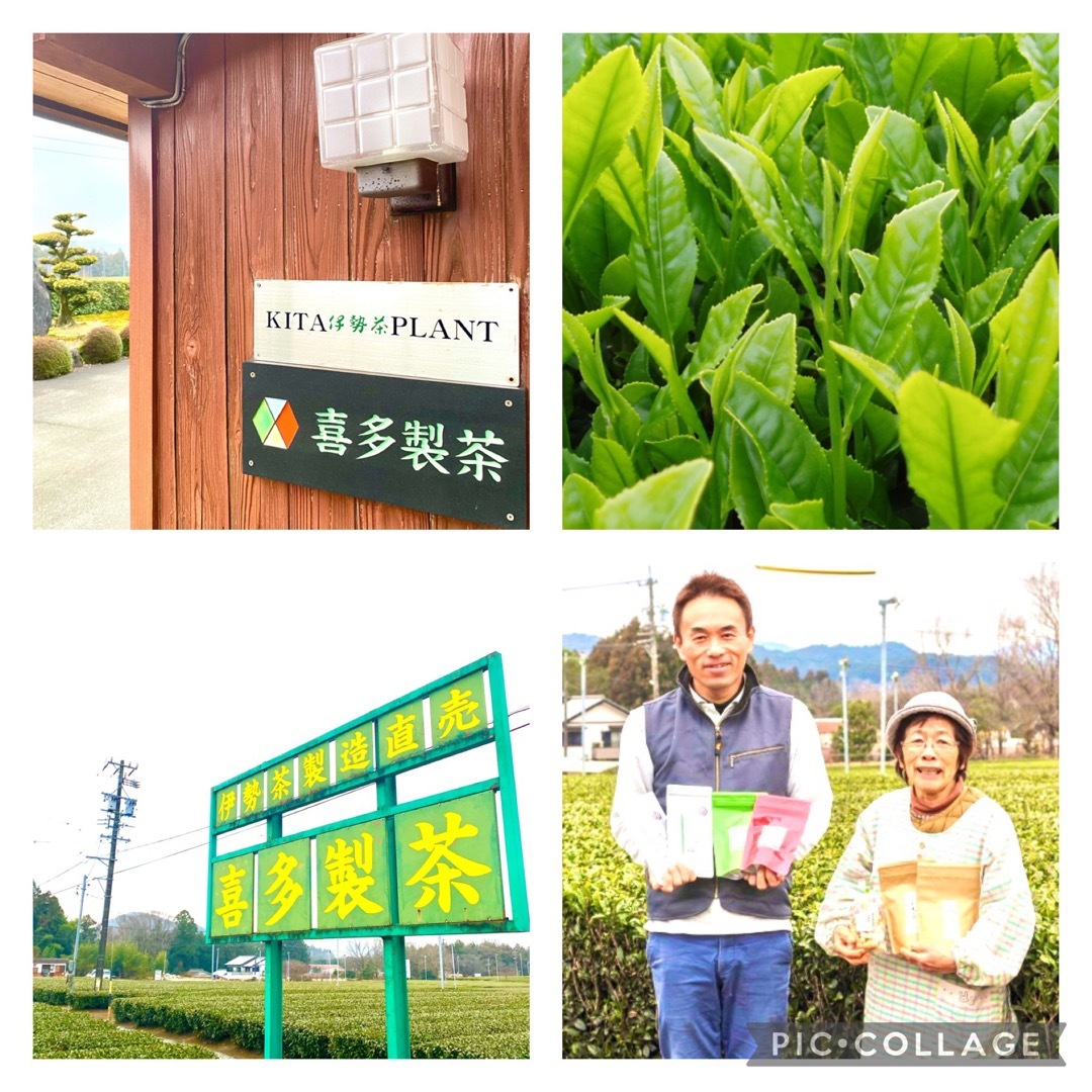 伊勢かぶせ茶ラテ　100g入り 食品/飲料/酒の飲料(茶)の商品写真