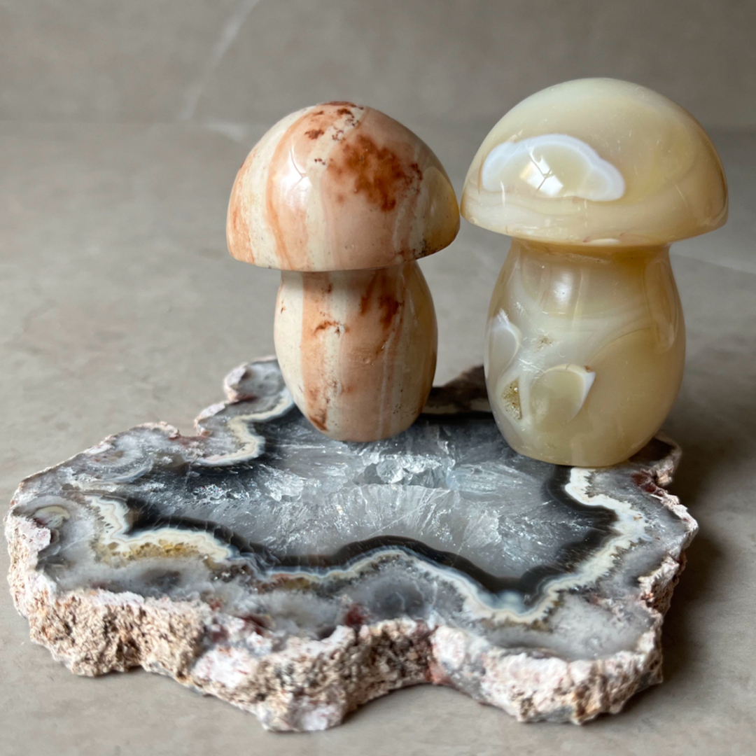 キノコ2つセット mushroom オーシャンジャスパー　アゲート　瑪瑙　天然石