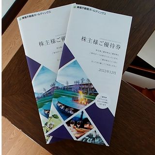 東急不動産の優待券×2冊　2023年8月末まで(ショッピング)