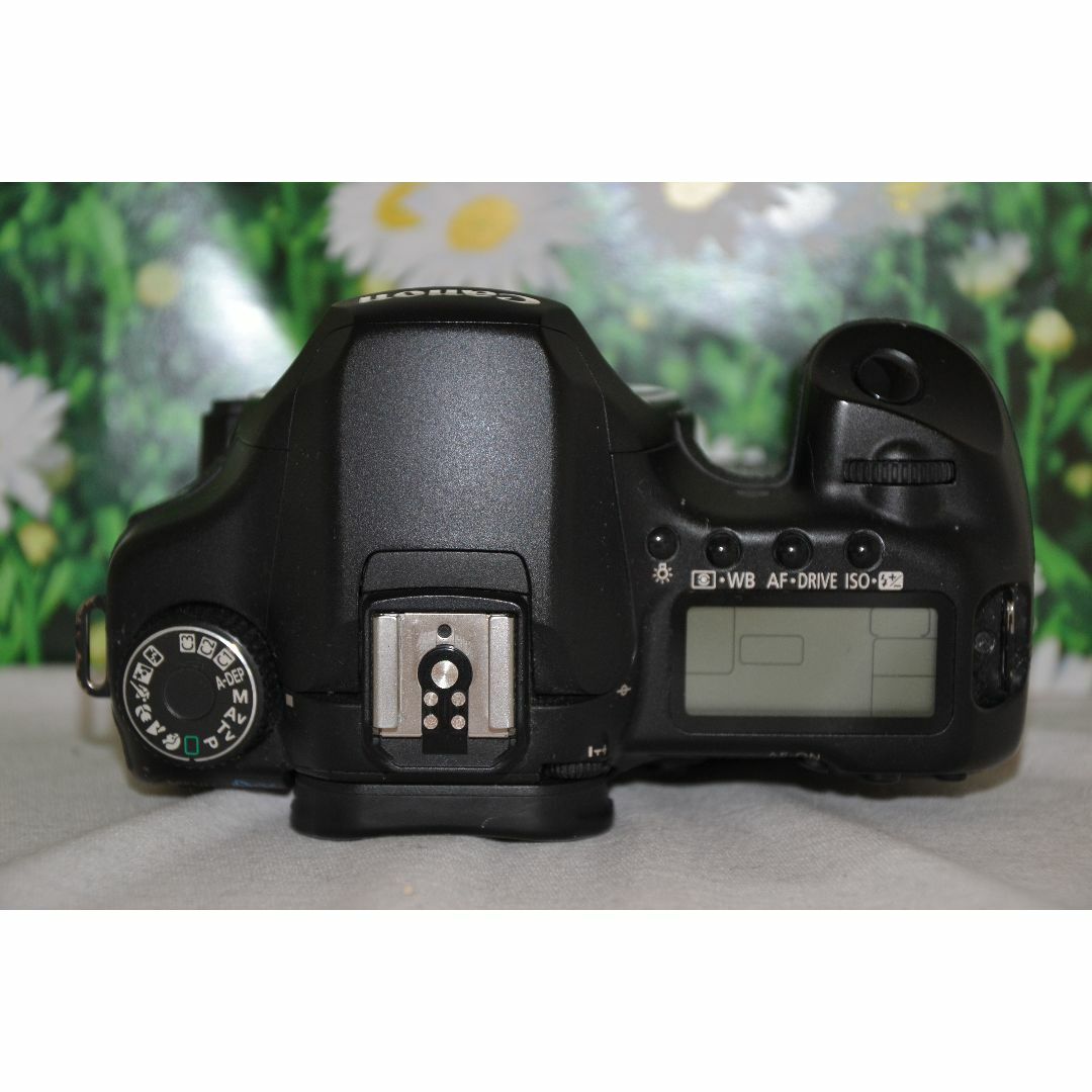 ❤キャノン Canon Eos 40D ❤キャノン デジタル一眼レフ❤ - www ...