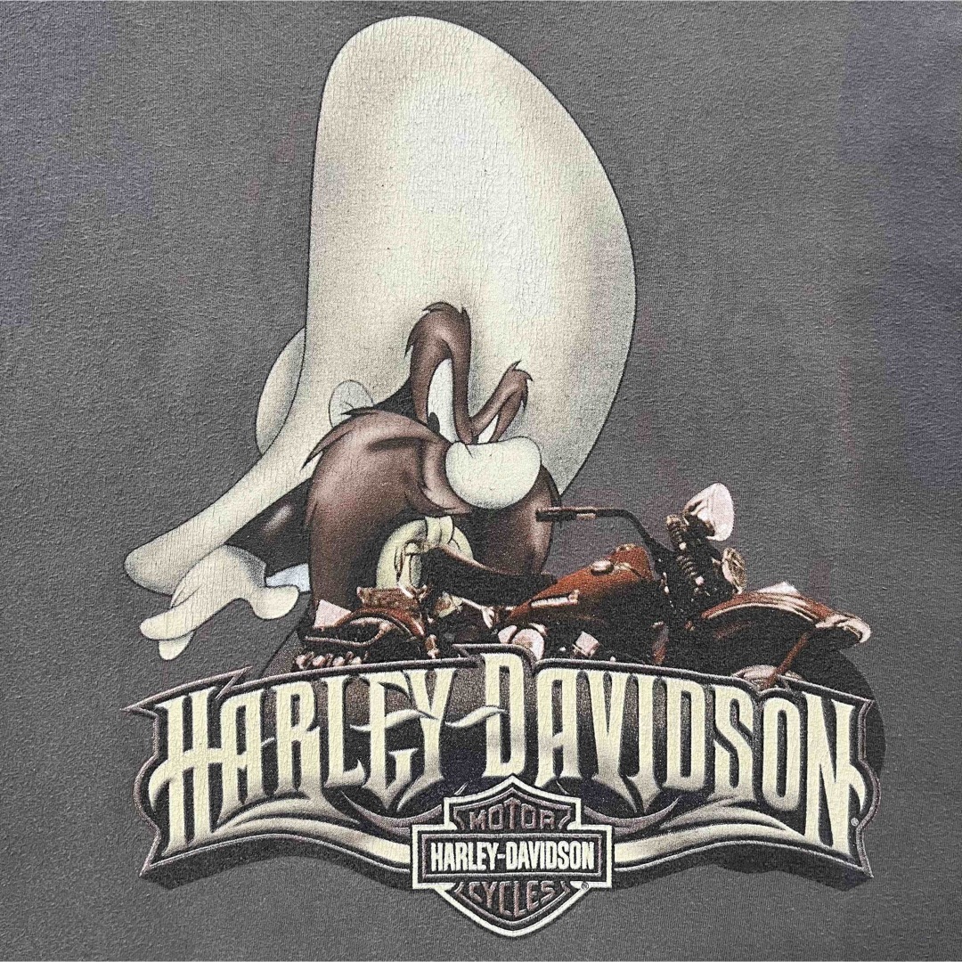 Harley Davidson - ハーレーダビッドソン Tシャツ ルーニーテューンズ