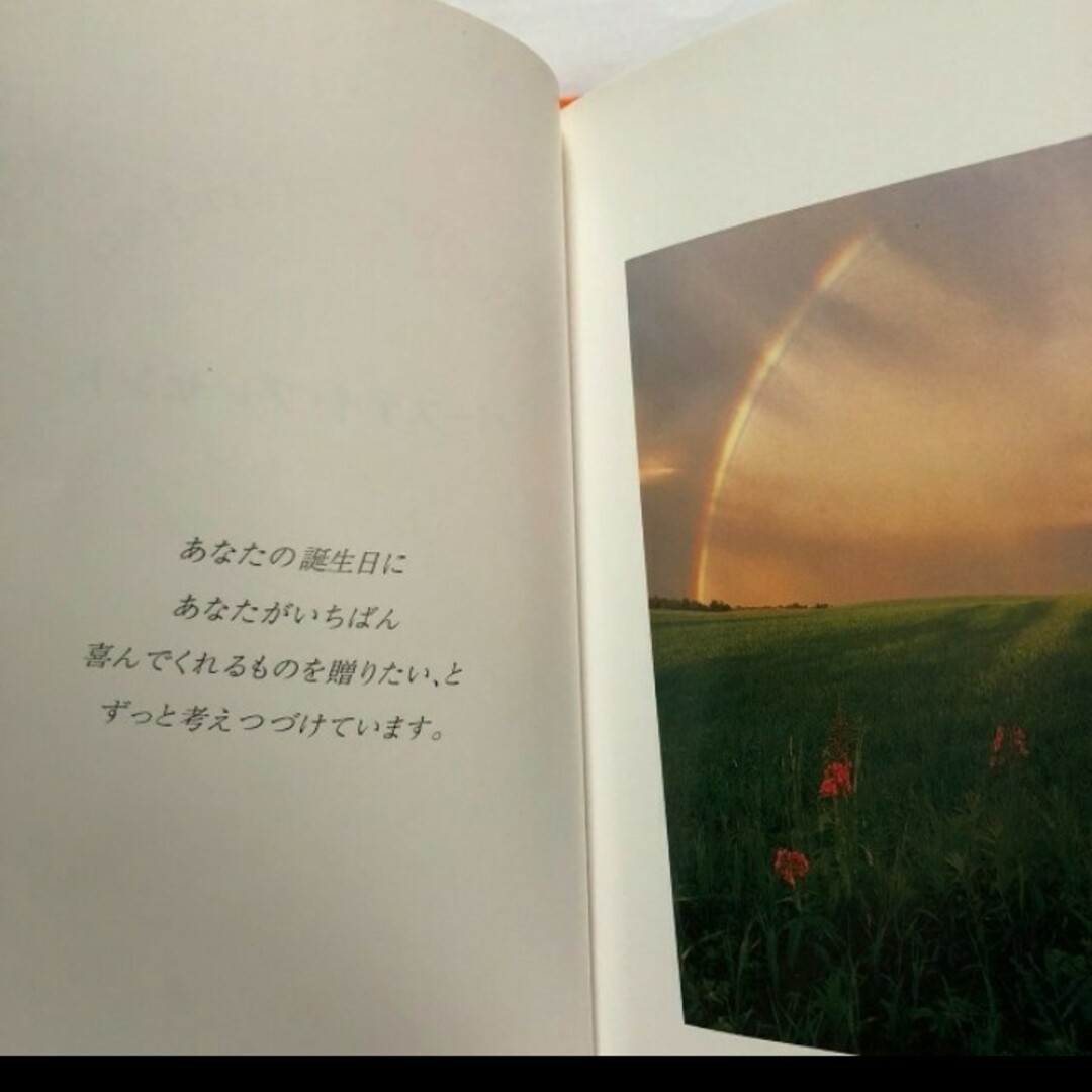 Happy Birthday バースデープレゼント エンタメ/ホビーの本(絵本/児童書)の商品写真