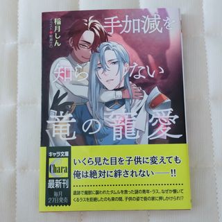 角川書店 - BL 小説 手加減を知らない竜の寵愛　　　　5 31