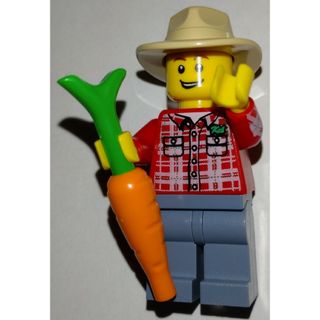 レゴ(Lego)のレゴシティミニフィグ　ニンジンを持った男(知育玩具)