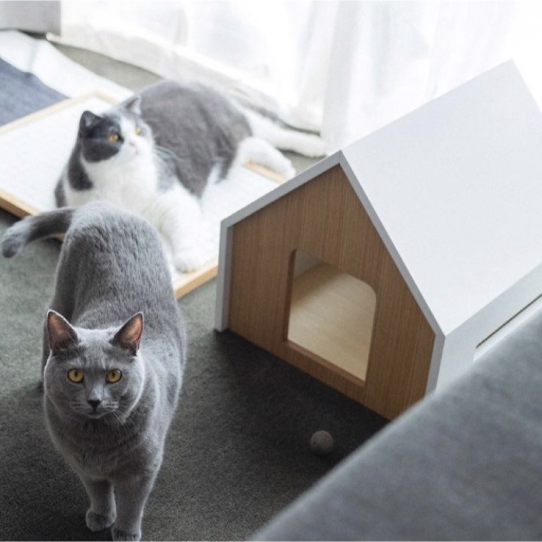 &CAT HUS / pet house ホワイト・白-