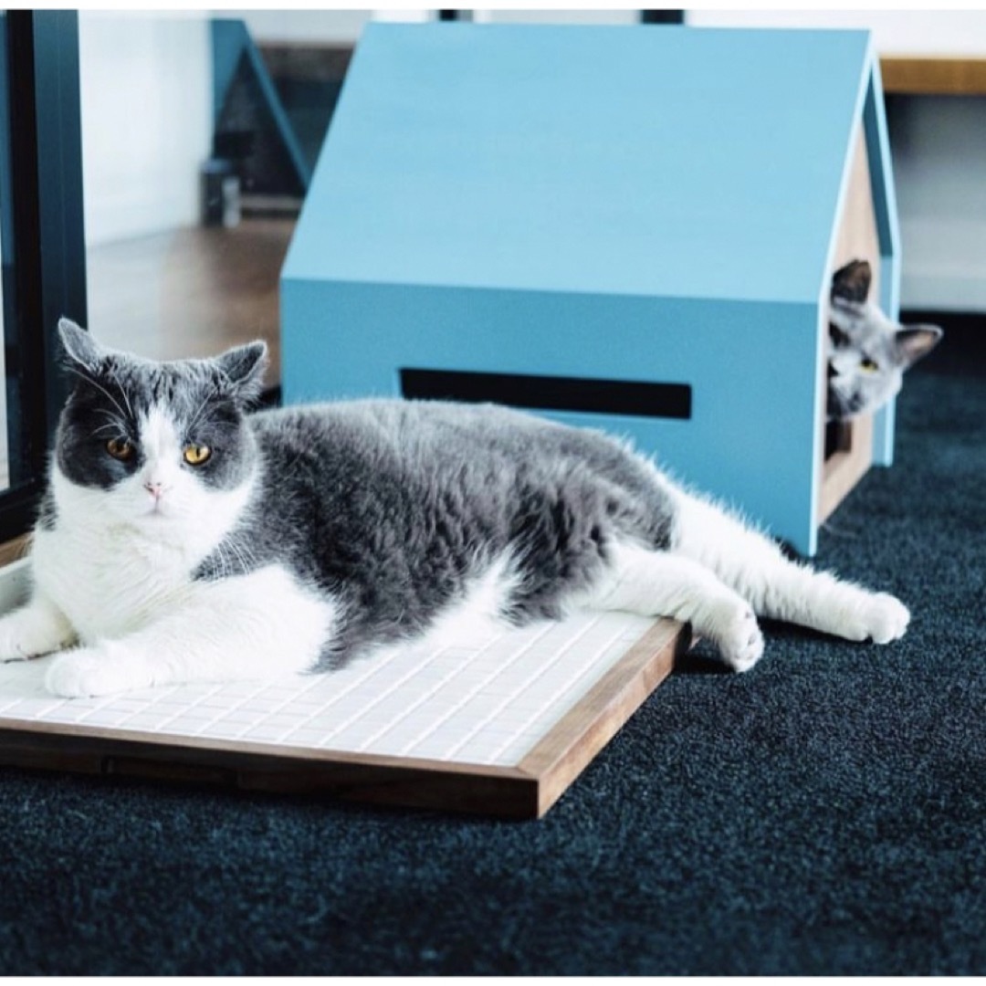 &CAT  HUS / pet house  ホワイト・白 その他のペット用品(猫)の商品写真