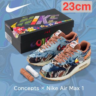 Concepts × Nike Air Max 1 "Heavy" 25.5