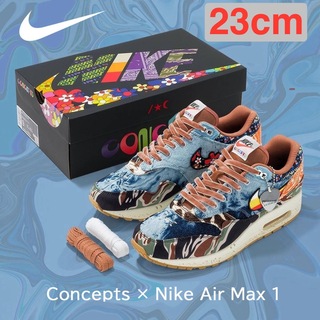 ナイキ(NIKE)のConcepts × Nike Air Max 1 Heavy エアマックス1 (スニーカー)